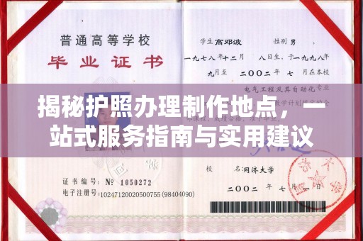平舆揭秘护照办理制作地点，一站式服务指南与实用建议